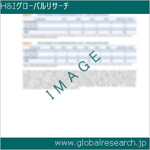 グローバルリサーチ調査レポートのイメージ